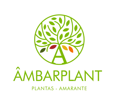 Ambarplant