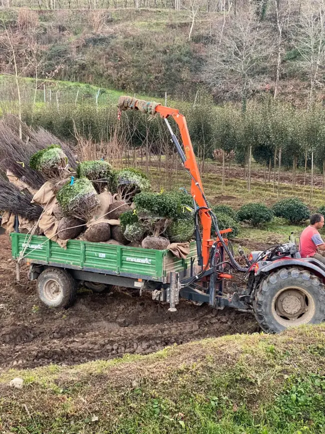 Horto Âmbarplant, sistema de rega do viveiro